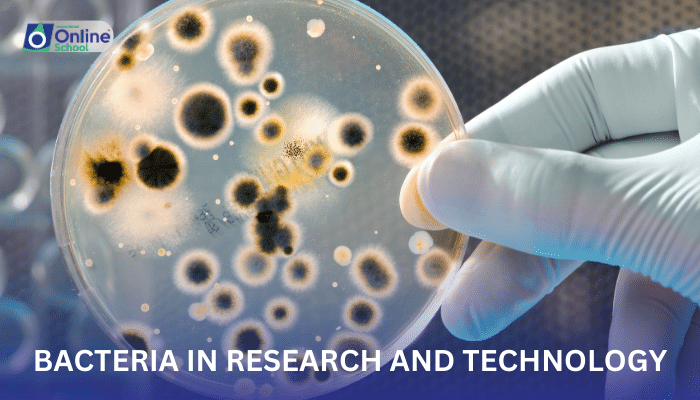Lesson 14: Importance of Bacteria in Research and Technology